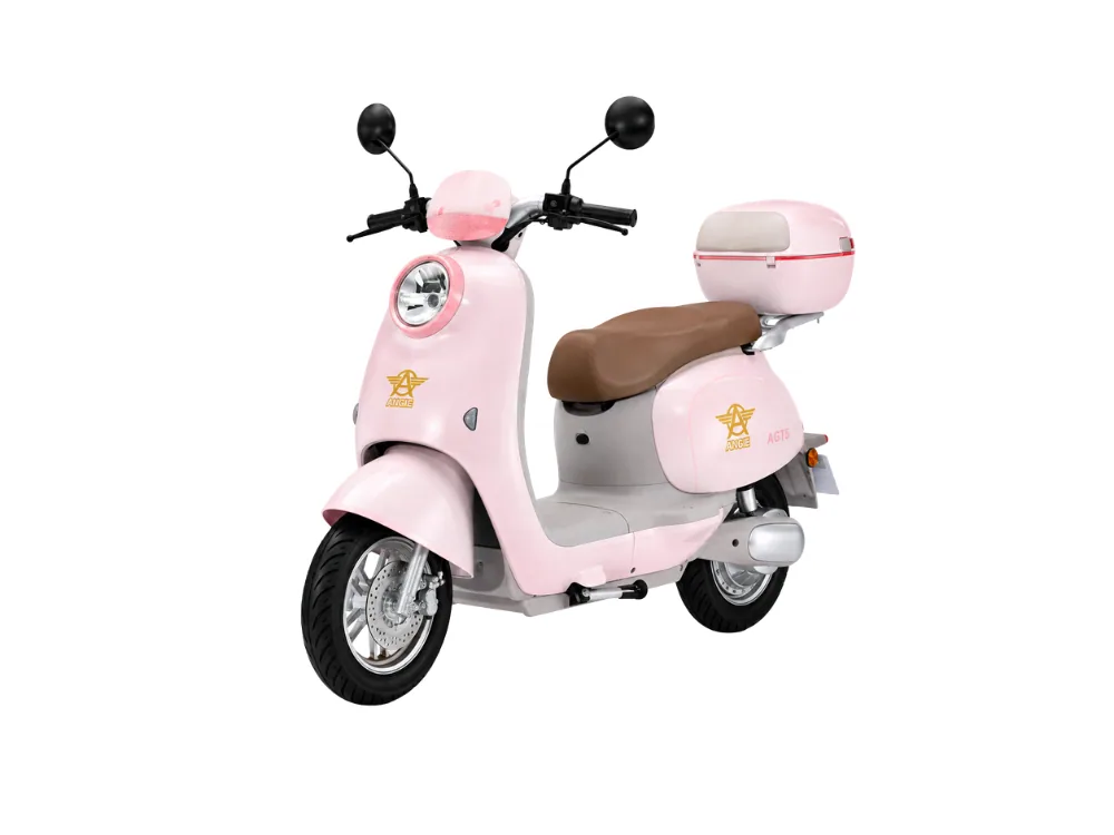 MB T5 — Rosa